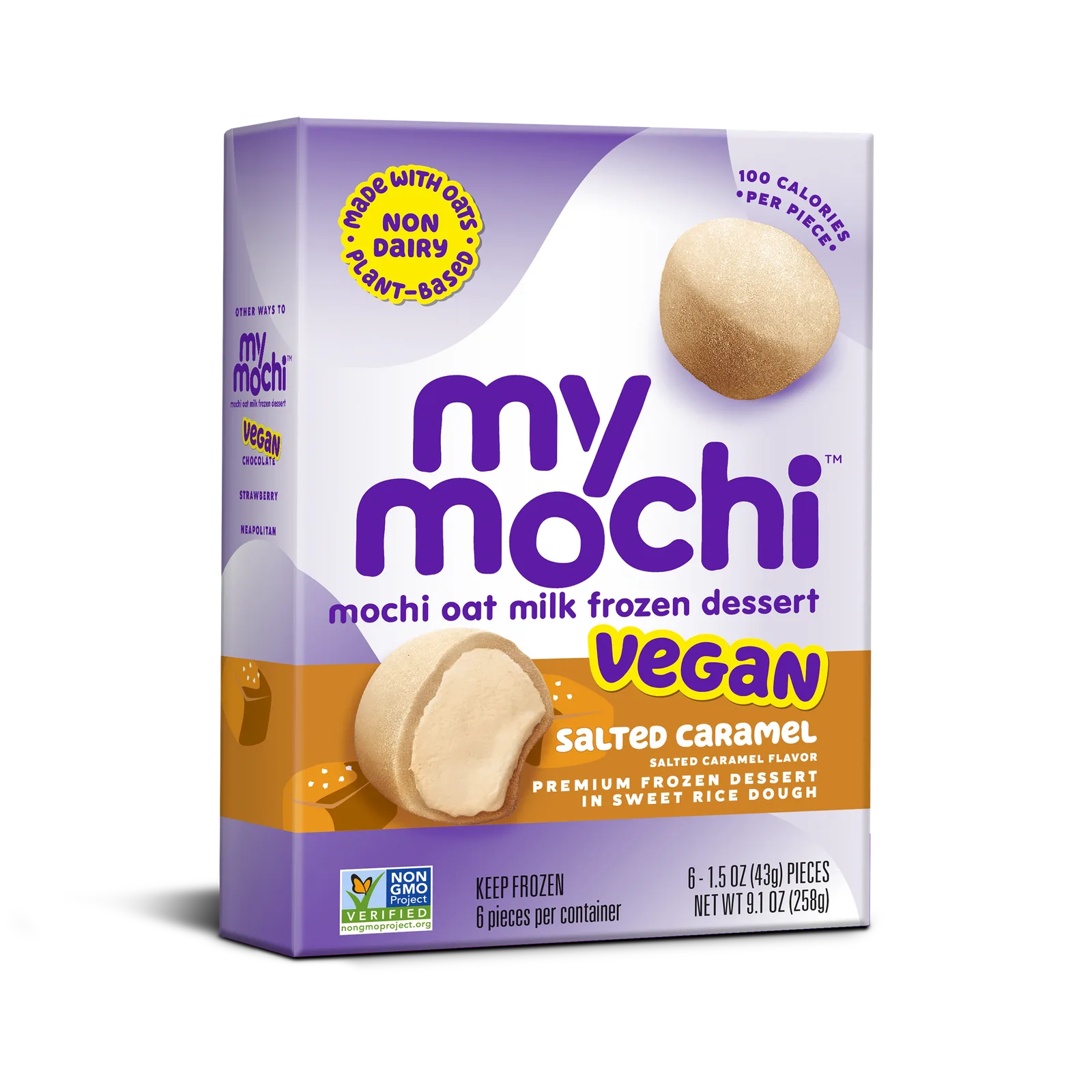 Non Dairy Frozen Dessert Salted Caramel