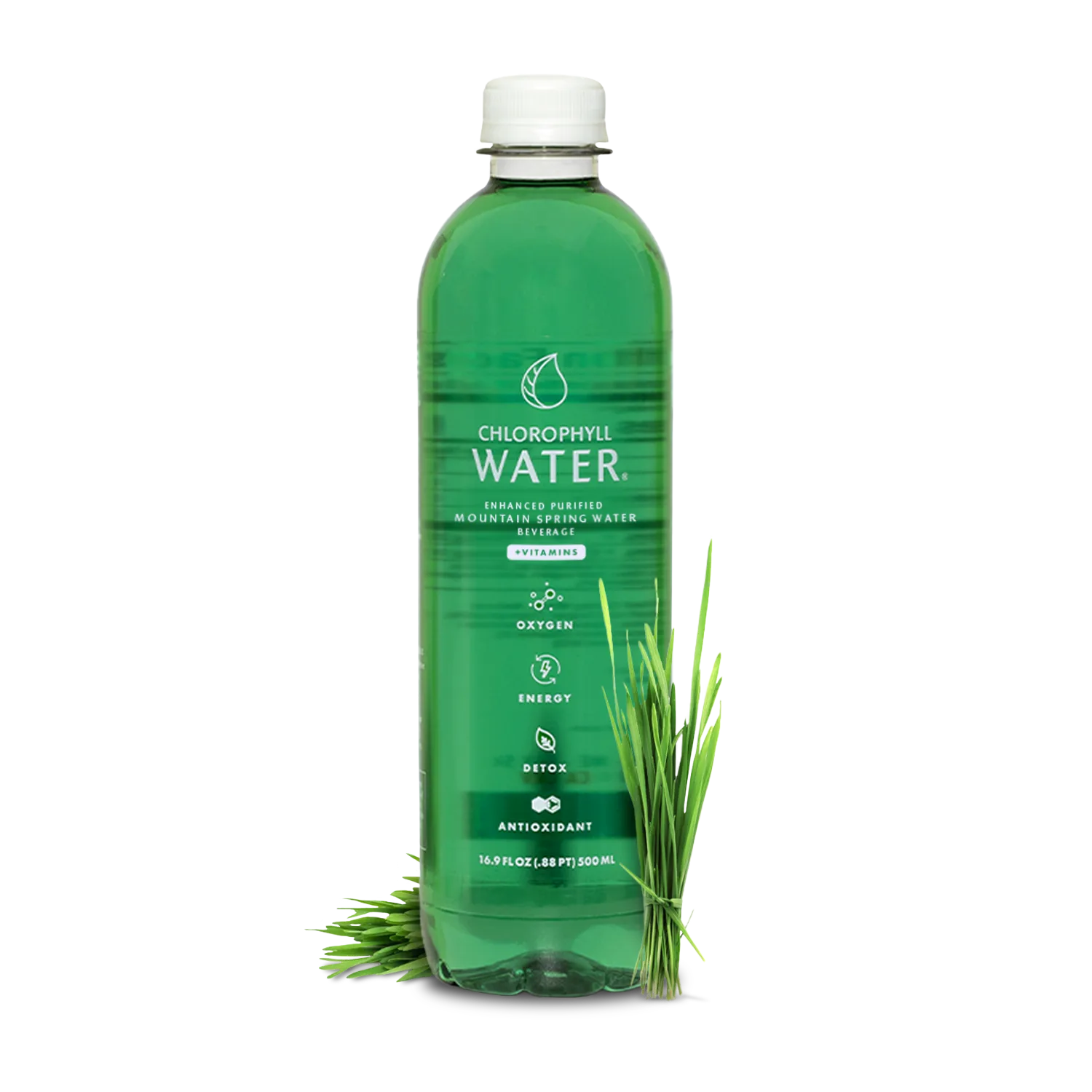 Chlorophyll Water